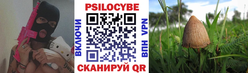 Купить  Нея  Галлюциногенные грибы прущие грибы 